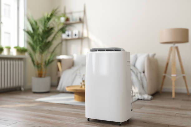 Best Air Filters and Purifiers in Santa Maria, CA